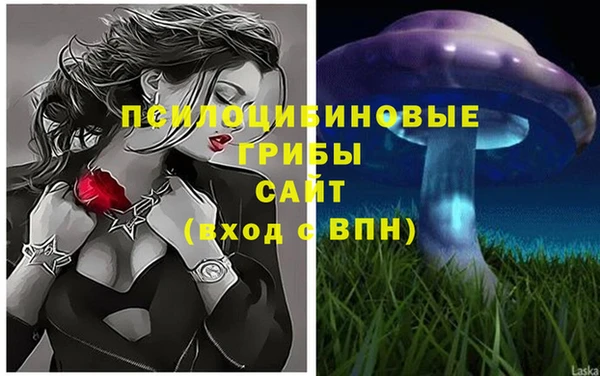 a pvp Инта