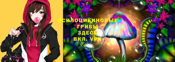 спайс Инсар