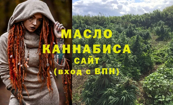 спайс Инсар