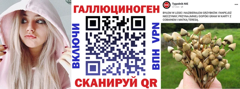 Купить где  Великий Устюг  Галлюциногенные грибы Cubensis 