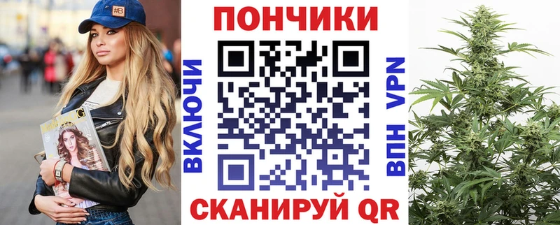 Купить закладки  Великий Устюг  Канабис индика 